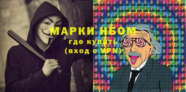 стаф Вяземский