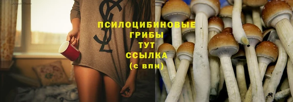 стаф Вяземский