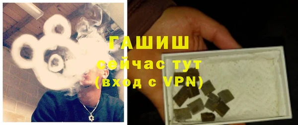 стаф Вяземский