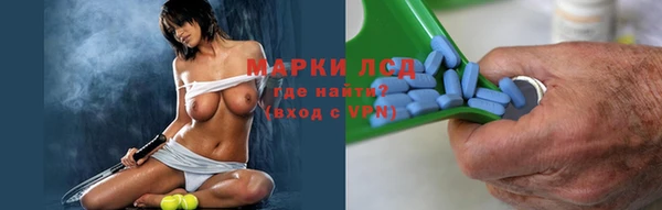 стаф Вяземский