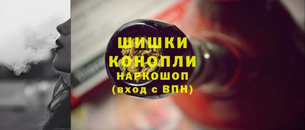 стаф Вяземский