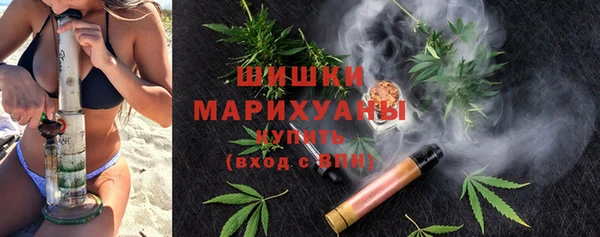 стаф Вяземский