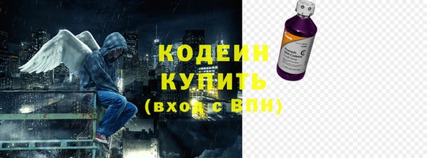 стаф Вяземский