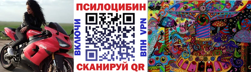 Псилоцибиновые грибы мицелий Остров